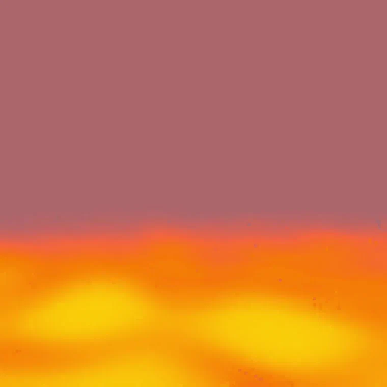 Daily Experiments