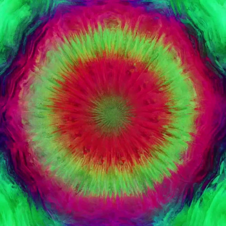 Daily Experiments