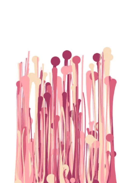 Work in progress